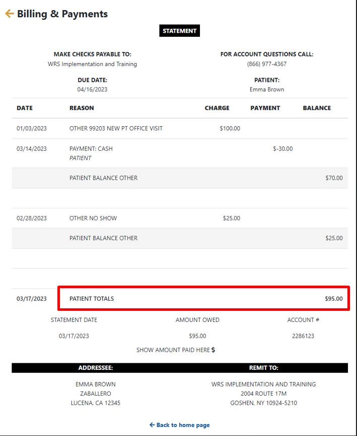 View Current Statement screen